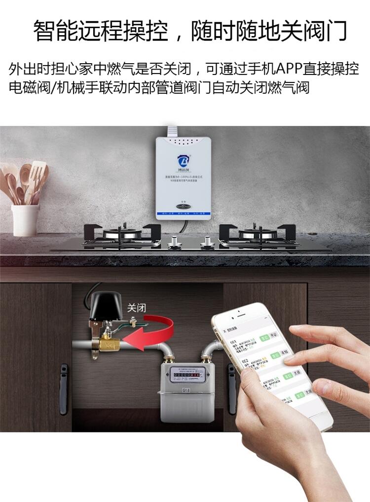 wifi燃氣中端安全探測器 防水